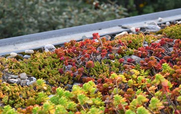 the cost of Chewton Keynsham green roof installation