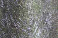 Chewton Keynsham fibreglass roof work